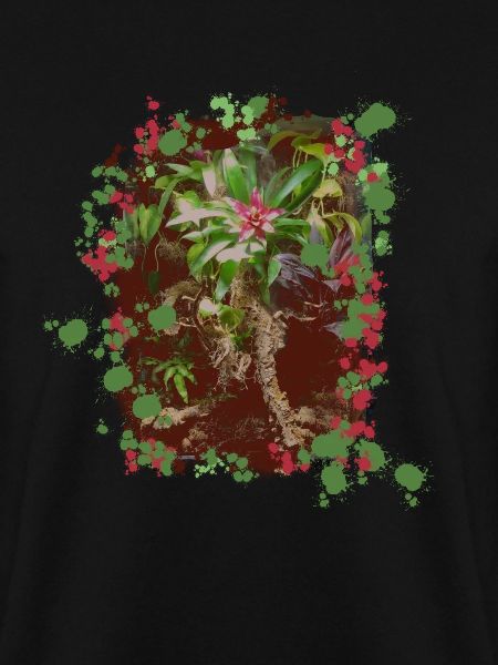 Terrarium | Flaschengarten