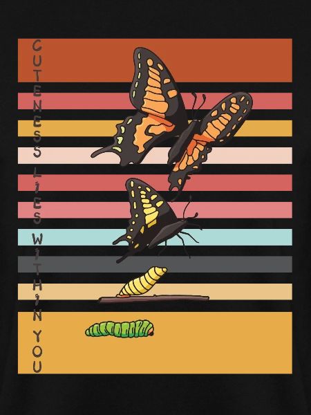 Cute Butterfly Evolution Butterflies