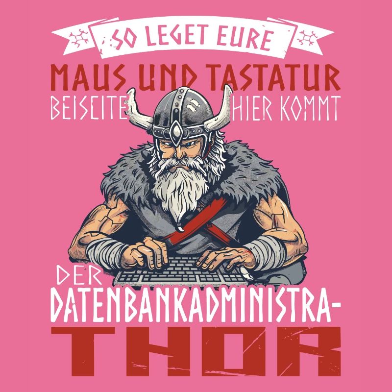 Datenbankadministrathor Codierung Datenanalyst