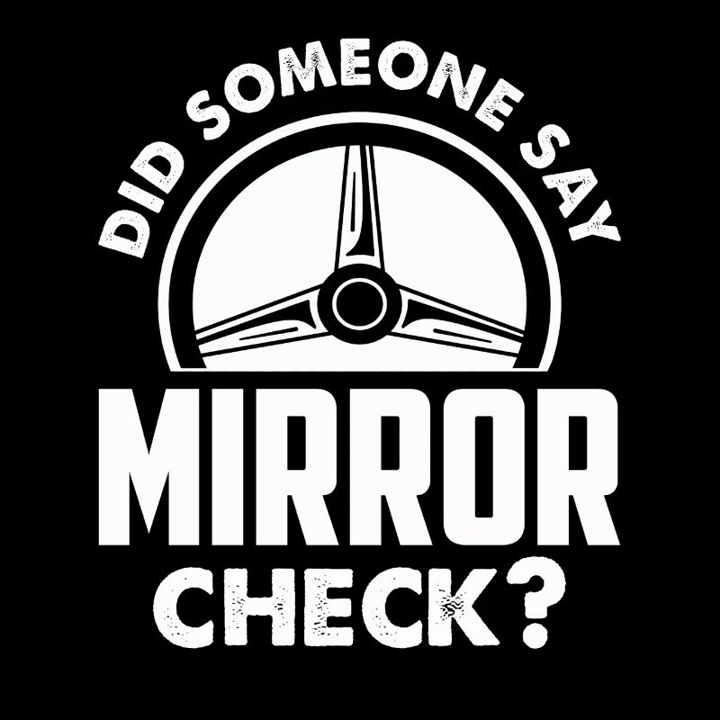 Driving School Driving Instructor