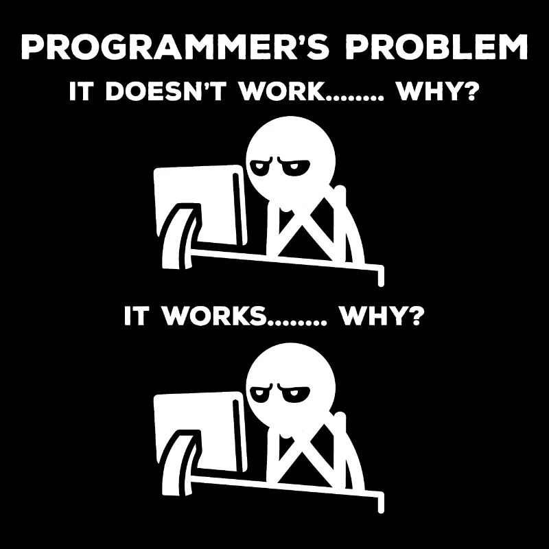 Computer Scientist Problem