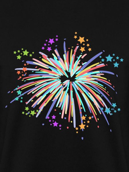 Pyrotechnics fireworks