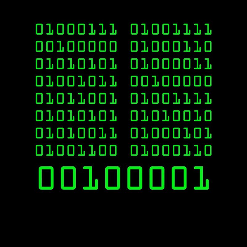 Go fuck yorself! Binärcode Programmieren Code