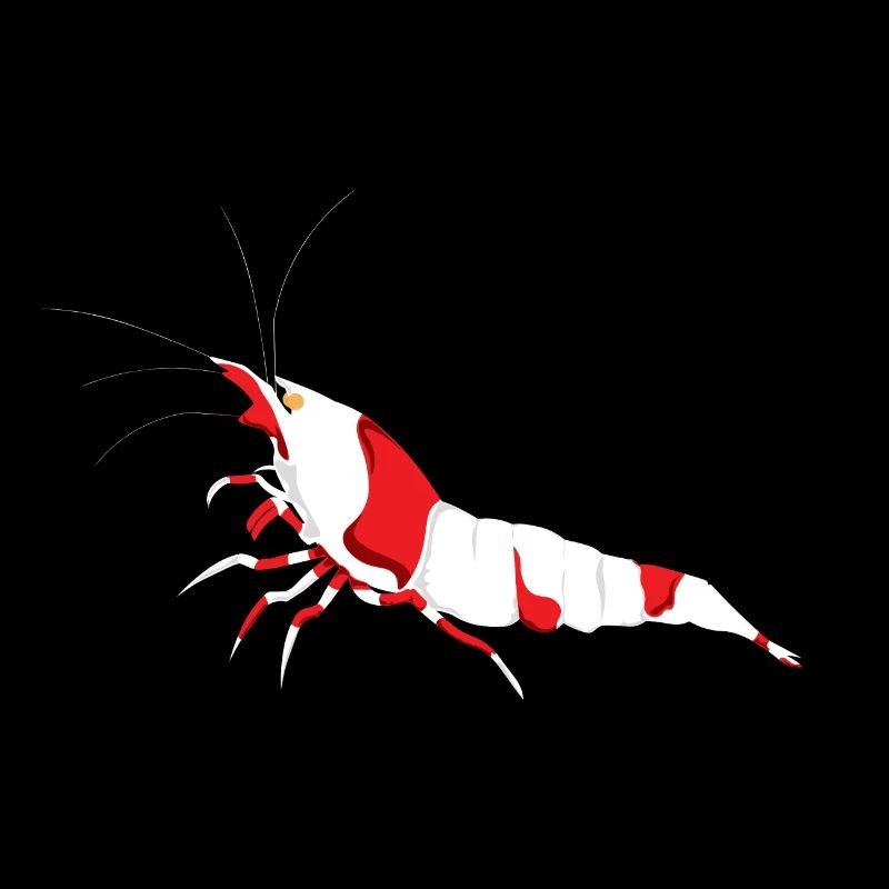 Crystal Red shrimp