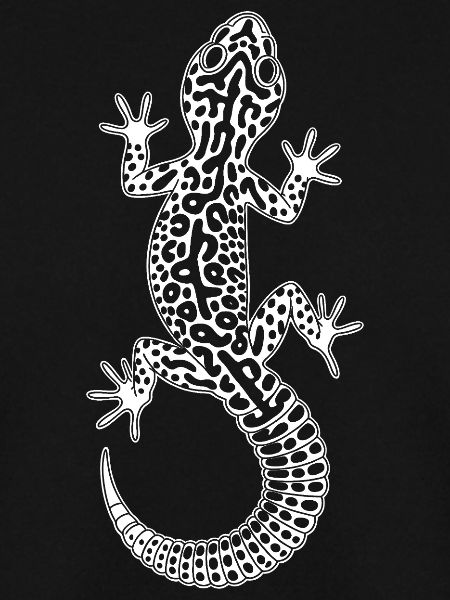 Gecko Linienkunst auf Tierform