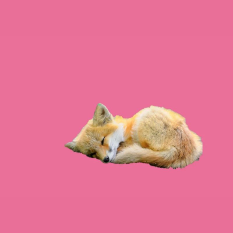 Fuchs