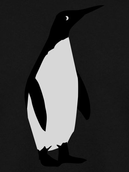 Pinguin