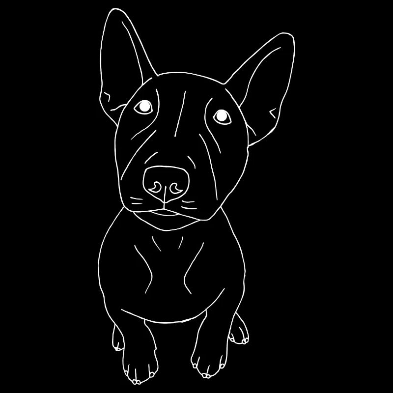 Bullterrier Puppy
