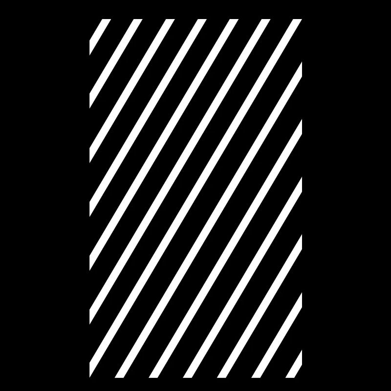 Zebra Zebrastreifen