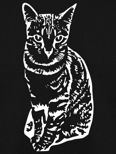 Katze Kätzchen Katzenshirt Geschenk