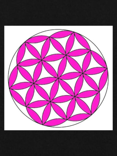 Blume des Lebens pink