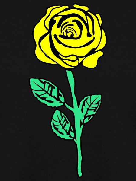 gelbe rose