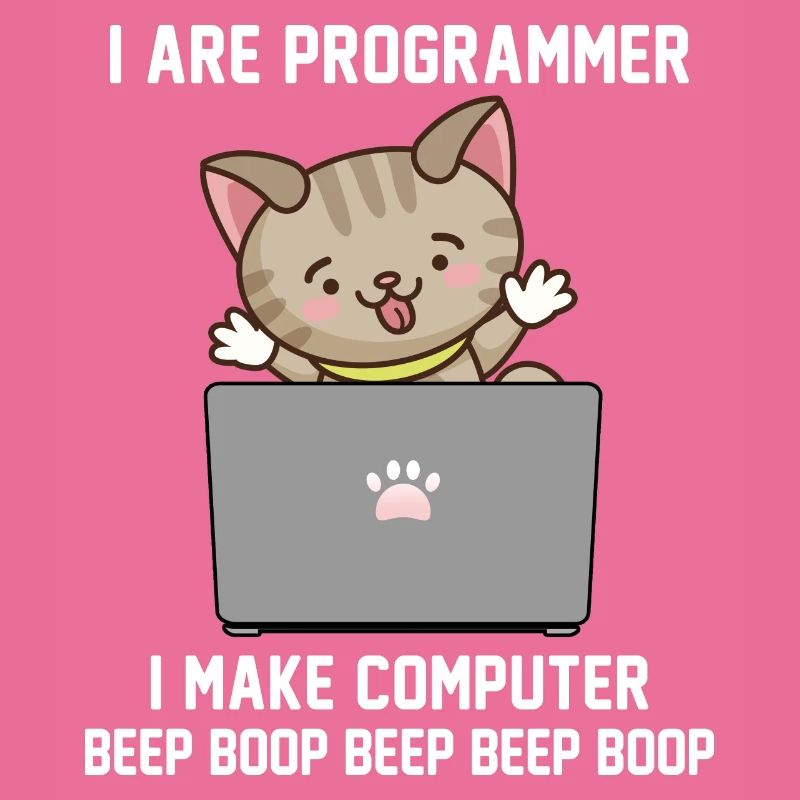 Programmierer