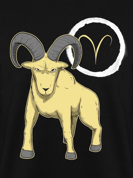 Sternzeichen Widder Aries
