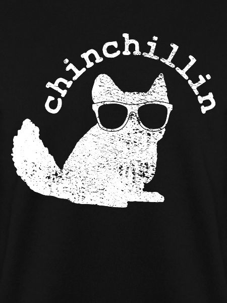Chinchilla Chinchilla Chinchilla