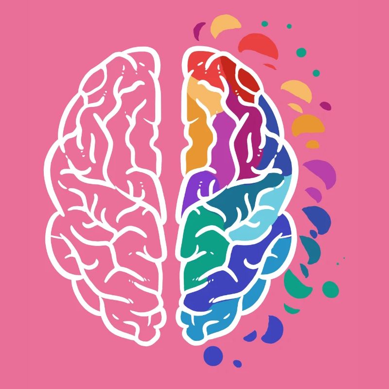 brain