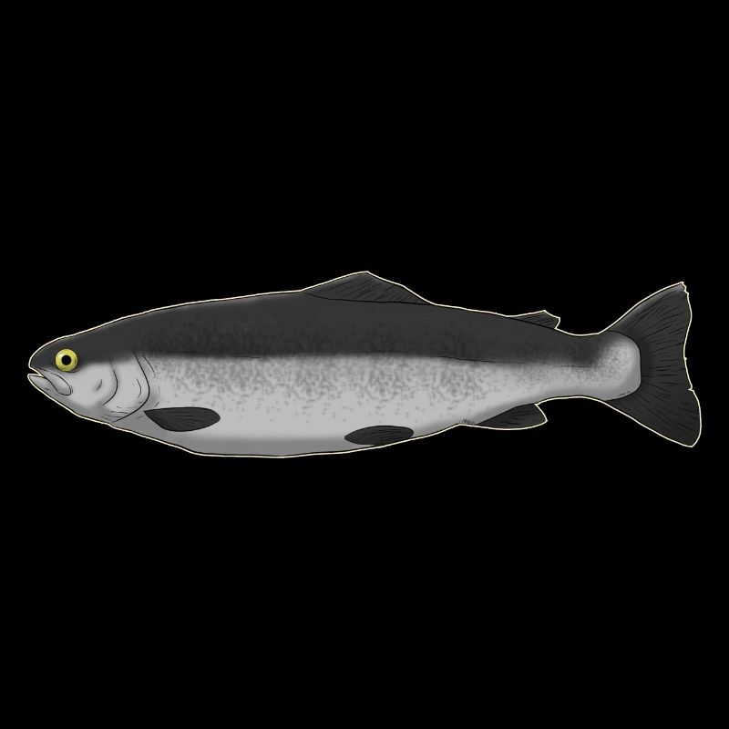 Fisch Fische