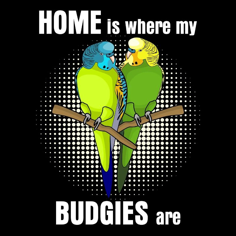 Budgerigar Budgie's Budgerigar