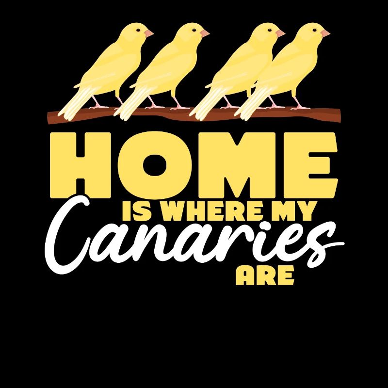Canari Oiseau Canari Oiseaux canaris
