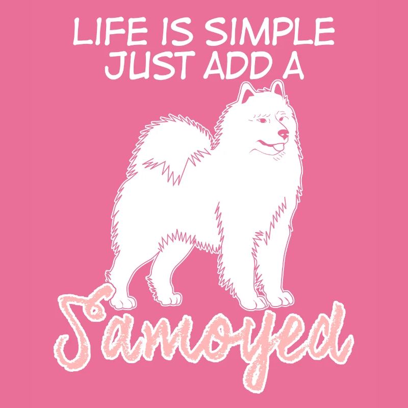 Samojede dog Samoyede Samoyed Hunde Hund