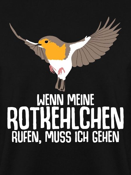 Rotkehlchen Vogel