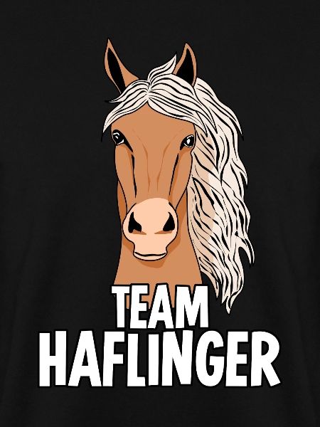 Haflinger Team Haflingers