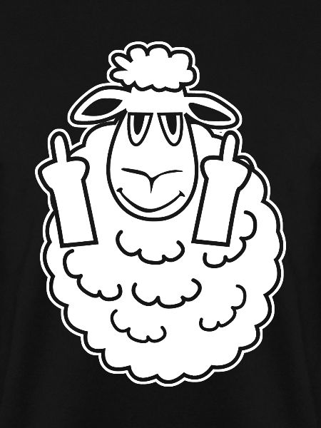 Schäfchen Schafe Mittelfinger Schaf