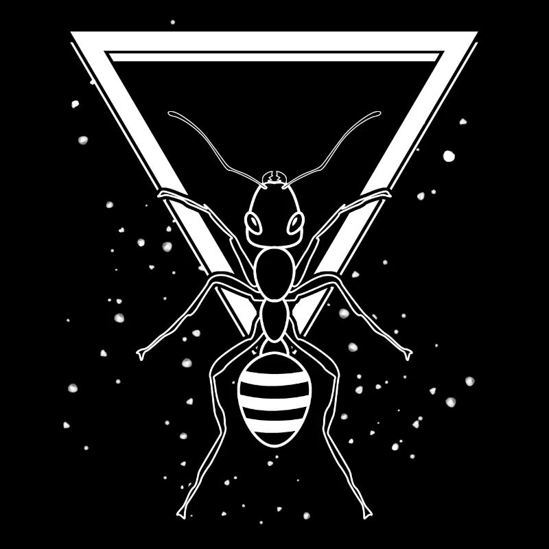 Fourmis Fourmis reproductrices