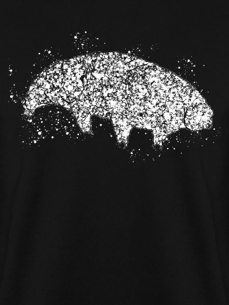 Wasserbär Bärtierchen Tardigrade