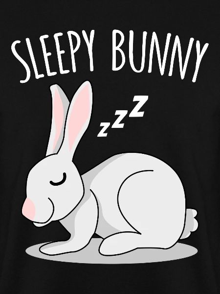 Rabbit Rabbit sleeping rabbit