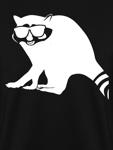 Waschbär mit Sonnenbrille