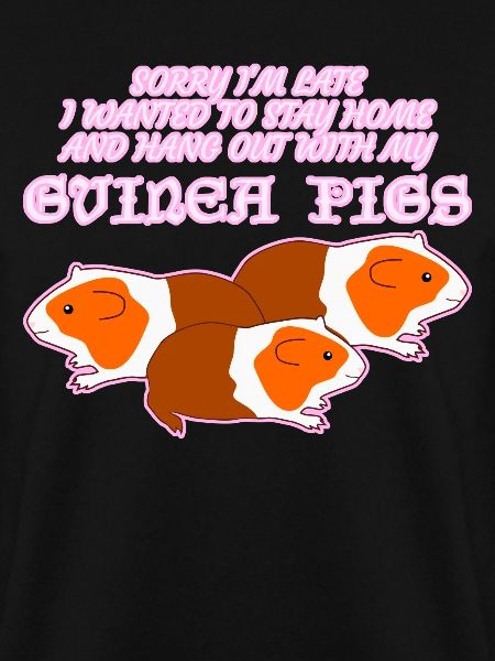 Guinea Pig
