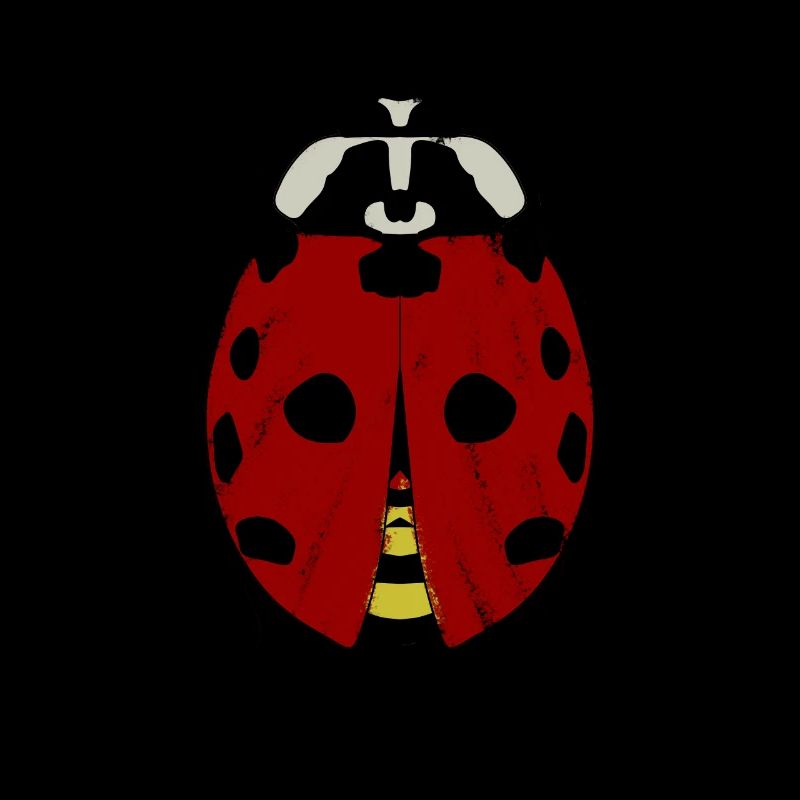 Ladybug Ladybugs