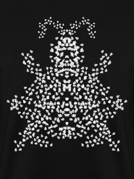 Ladybug Monster Ladybugs