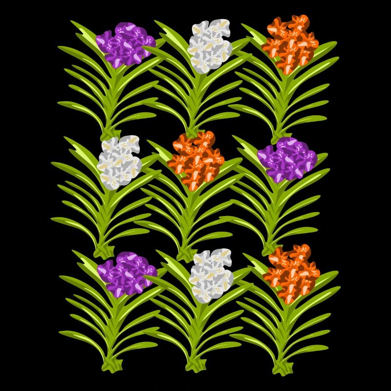 Orchids Phalaenopsis Flowers Orchid