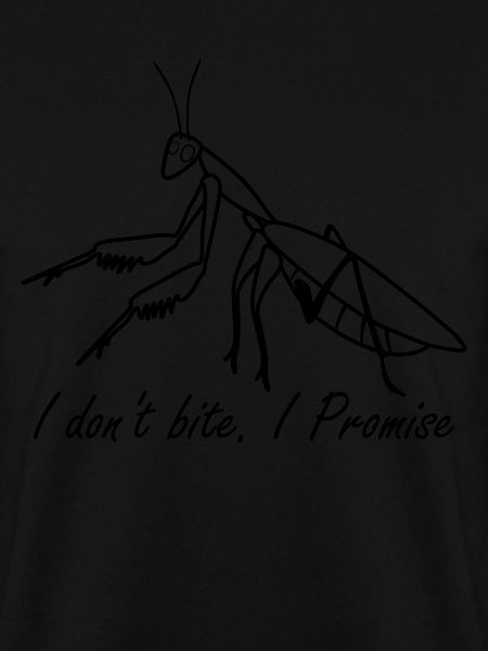 Funny Praying Mantis