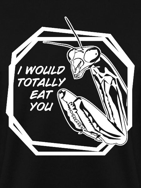 Praying Mantis Joke Insect