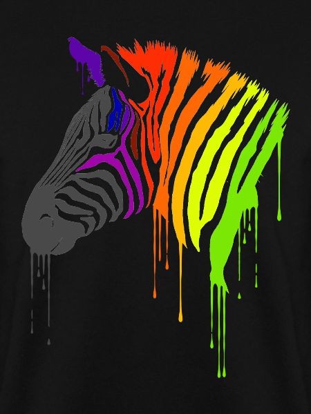 Rainbow Zebra