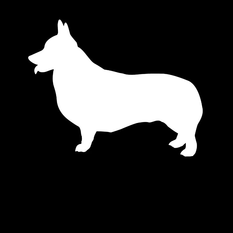 Corgi