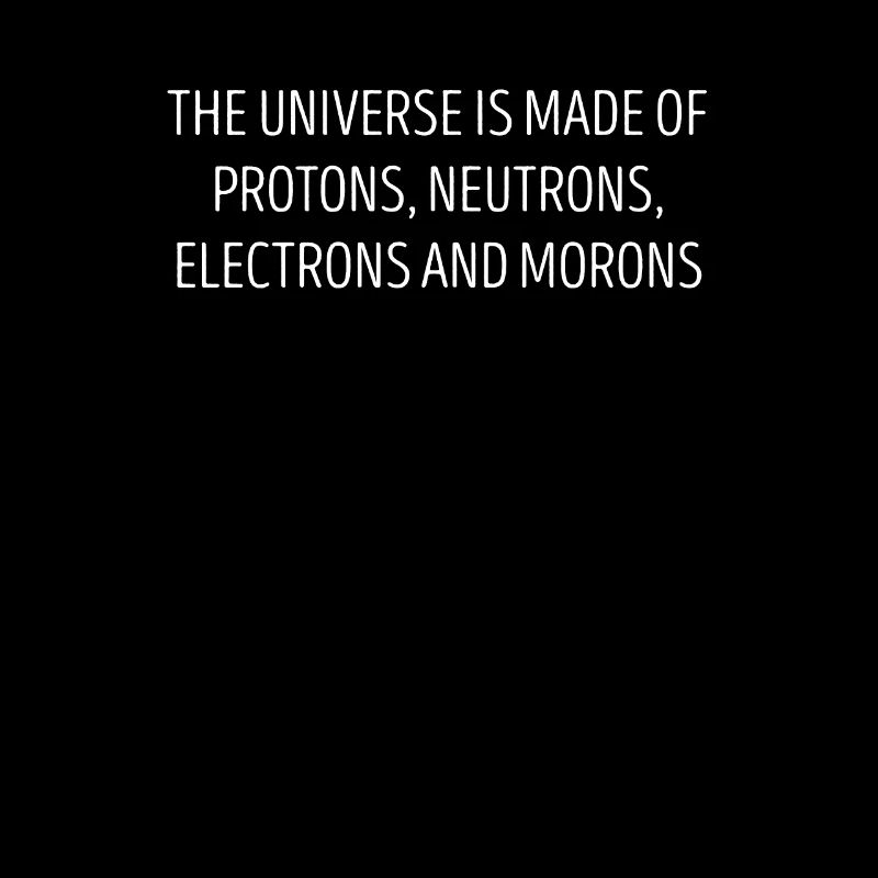 The universe consists of protons, neutrons, ele