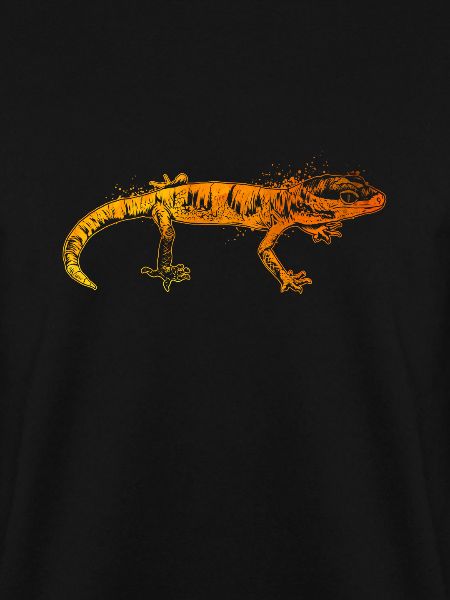 Farbenfroher Gecko