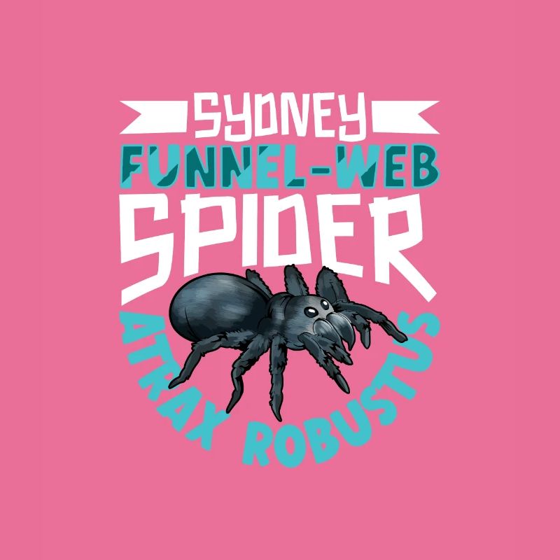 Sydney Funnel Web Spider