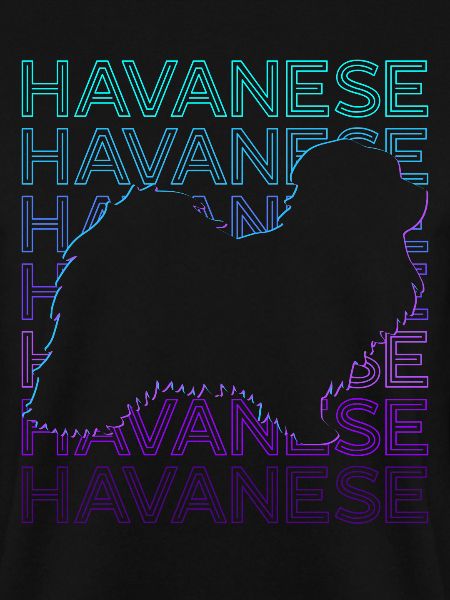 Havanese Dog Retro