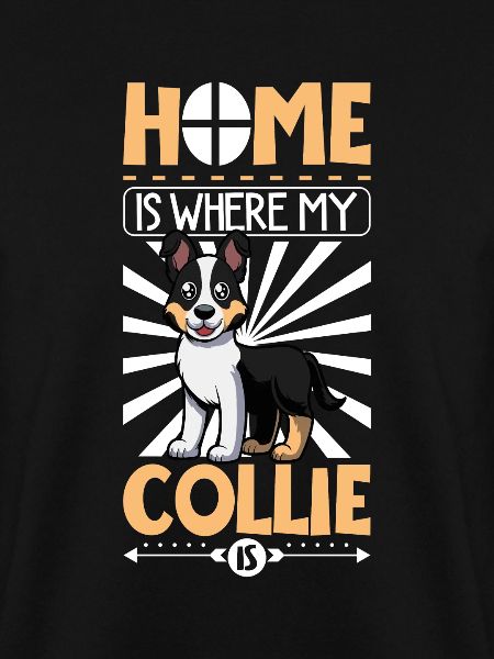 Zuhause - Kurzhaarcollie