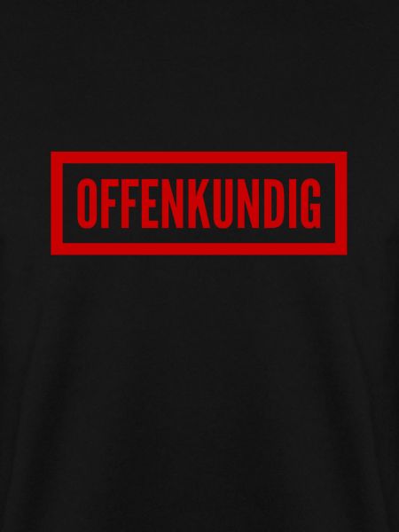 offenkundig