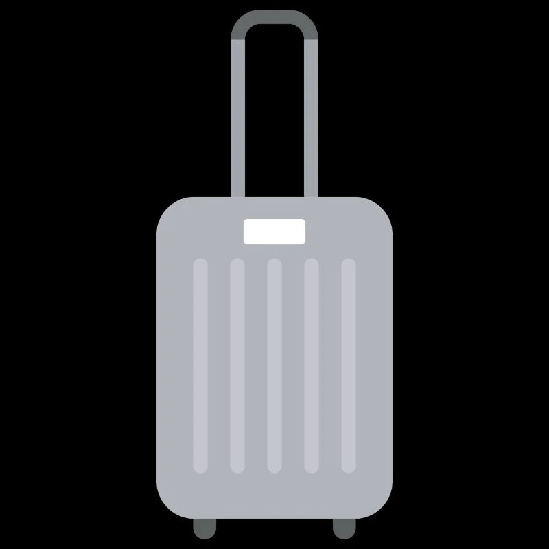 Valise Bagages