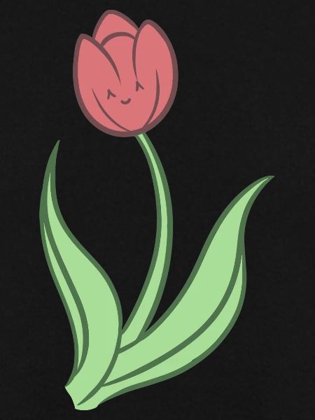 Süße Tulpe