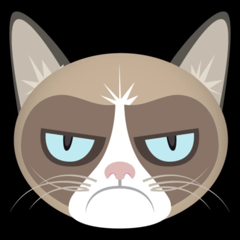 Grumpy Cat