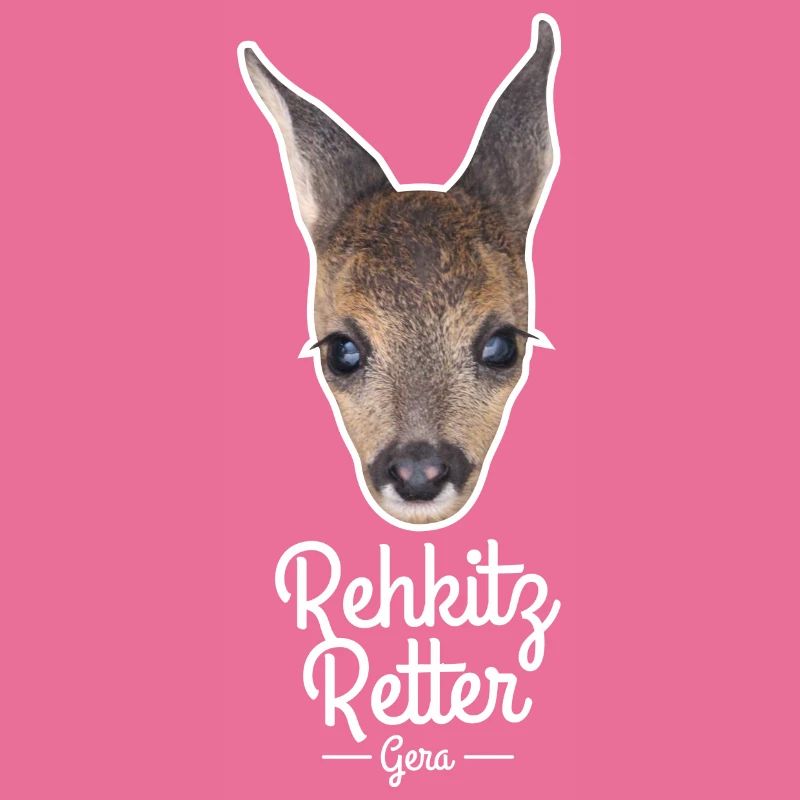 Rehkitz 1
