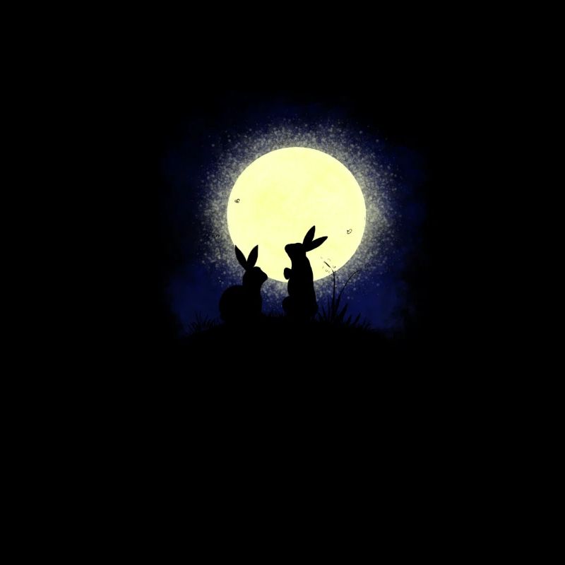 Zwei Hasen beim Vollmond